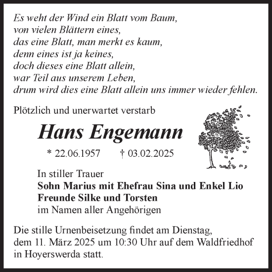 Traueranzeige von Hans Engemann von WochenKurier